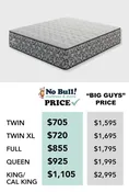 The 13.5” Premium Firm + Memory Foam