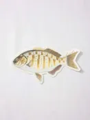 Abachar Barred Perch Sticker