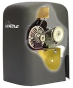 EAGLE I