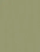 8.5×11 80# Cover Paper 100% Recycled Moss Green