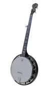Deering Artisan Goodtime Special 5-String Banjo with Resonator