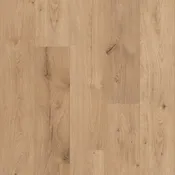 Archer