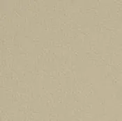 22 Longlife Soft Delfin Leather Swatch