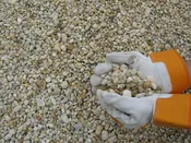 3/8″ Delaware Yellow Pea Gravel