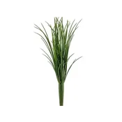 13” Lady Grass Bush