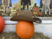 6X Pecan Fur Felt by Ariat