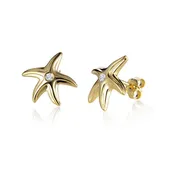 14K Starfish  Earrings