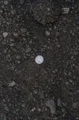 Asphalt Grindings