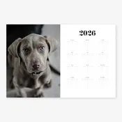 12x18 Calendar
