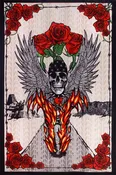 3D - Fire Biker - Tapestry
