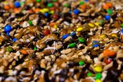 Gator Crunch — Keys Chocolates & Ice Cream