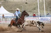 Jonathan Torres NFR Saddle Pad
