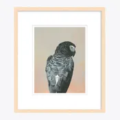 11 x 14 Limited Edition Art Print - Lately I’ve Been Getting A Real Aggro Vibe From My Weighted Blanket
