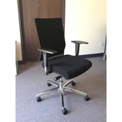 Ambarella Mesh Task chair