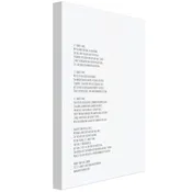 AVIATRIX Poem (English) on Canvas