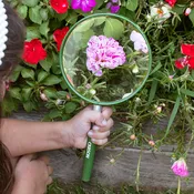 BigEye&amp;#8482; * Large 5 inch Viewing Lens * 2x Magnification Oversized Handheld Magnifying Glass