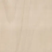 360 White Wash