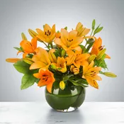 Lily Love by BloomNation™
