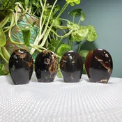 Amber Dome