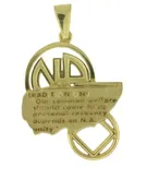 10k Gold “Tradition One” NA Pendant