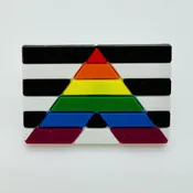 Ally Pride Pin