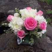 Roses and hydrangea