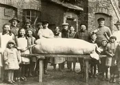 The Family Pig I
