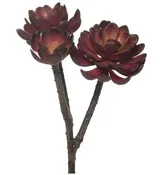 10" Hen & Chicks Stem