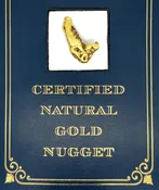 10.5 Gram Natural Gold Nugget from Hunter Creek, Alaska