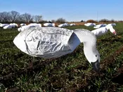Juvy Snow Goose Feeder Windsock Decoys, 12 Pack