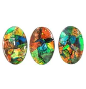 Starborn Ammolite Oval Cabochon 36mm - 3 Pieces