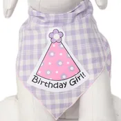 Birthday Girl Hat