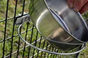 Coop Cup