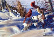 Al Agnew Birds of A Feather