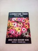 BCH DAISY PASTEL MIX