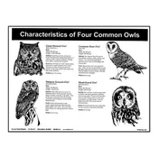 P12: Characteristics of 4 Common Owls Poster — Mountain Home Biological