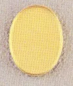 1031