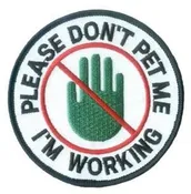 Please Don't Pet Me Round Patch