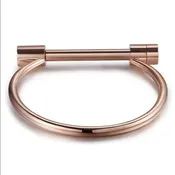 Bar rose gold bangle (TF)