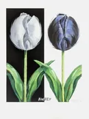 Giclée print | Tulip Time 2018 - Holland, MI — The Frame and Mat Shop
