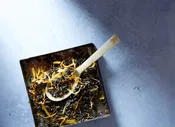 Bellocq Tea, Majorelle Mint no 38 — AVION Clothier
