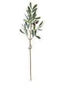 19-1/2" Olive Stem with Olives