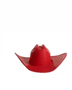 Halo Hoedown | Hat — Style Therapii Boutique
