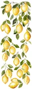 Lemon Drops Décor Transfer