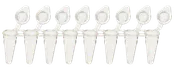 0.1ml Low Profile Tubes + attached Optically-Clear Flat Cap