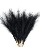 6 Spikes of feathers