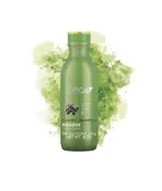 Alea Curly Hair Shampoo with Acai Extract 18.1 oz