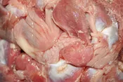 Chicken Gizzards
