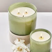 15.5 oz. Fresh Cut Gardenia Classic Candle