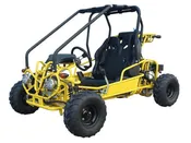 Taotao GK110 Youth Go Kart